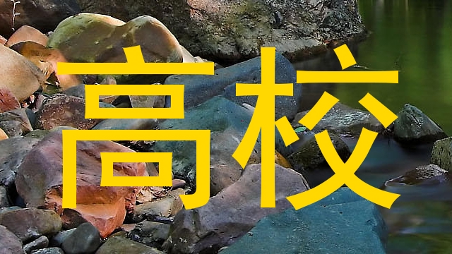 高校