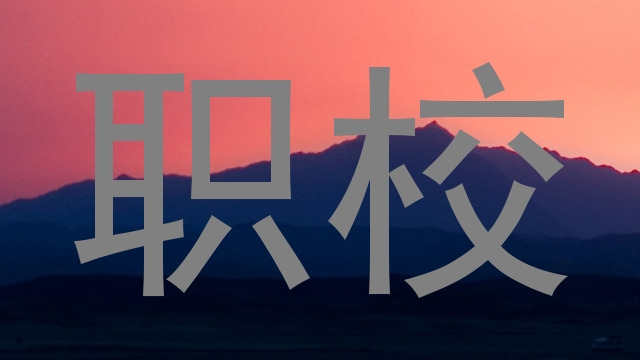 职校