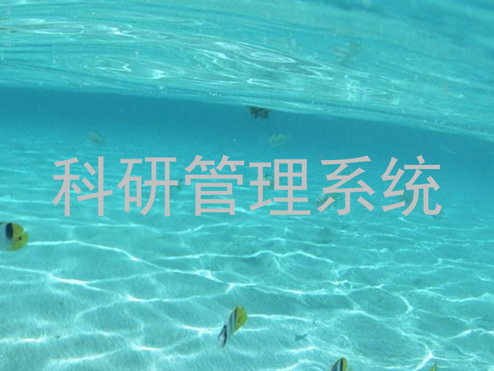 科研管理系统