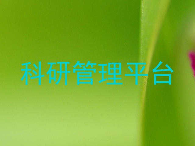 科研管理平台