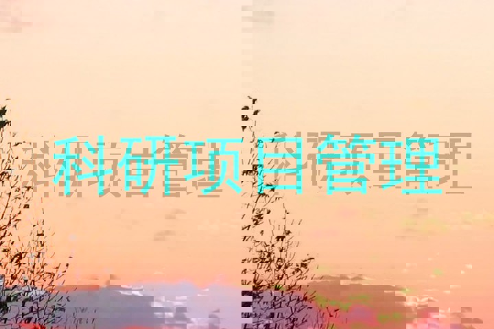 科研项目管理