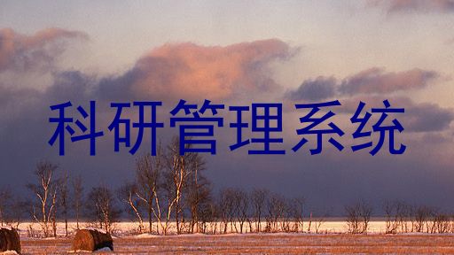 科研管理系统