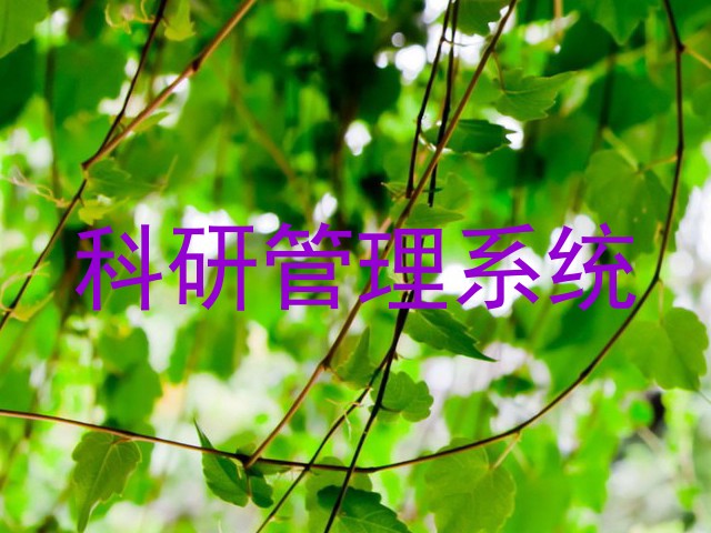科研管理系统