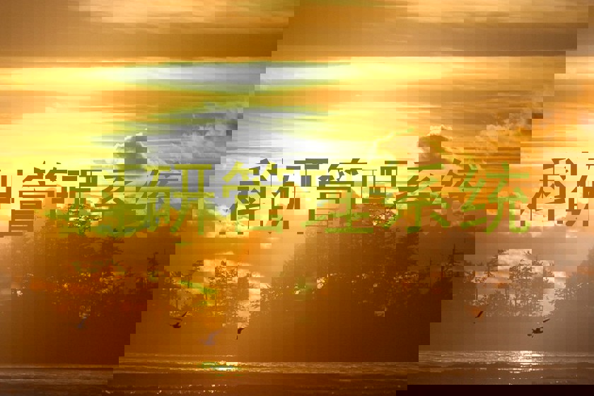 科研管理系统