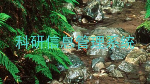 科研信息管理系统