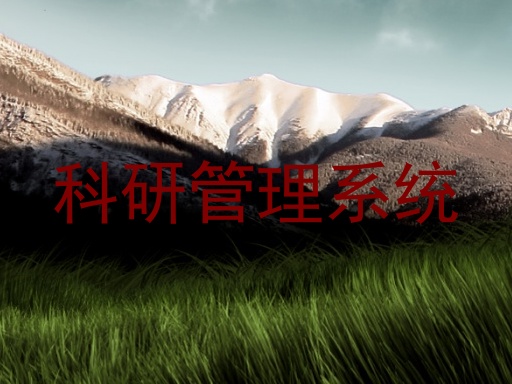科研管理系统