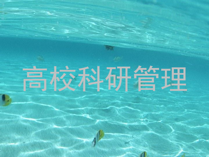 高校科研管理