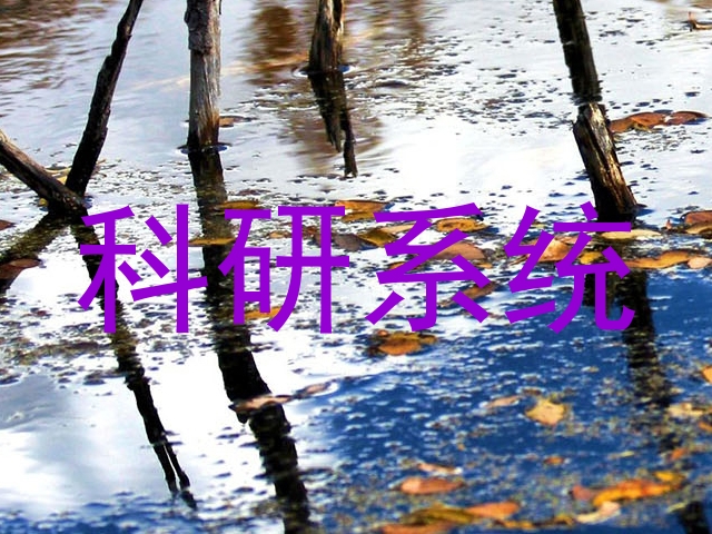 科研系统