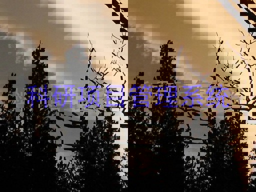 科研项目管理系统