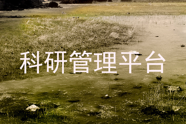 科研管理平台