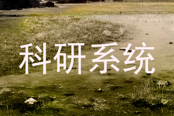 科研系统