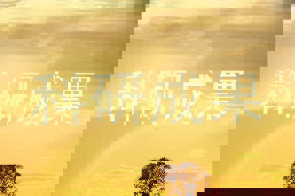 科研成果