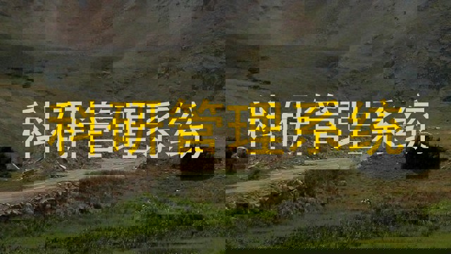 科研管理系统