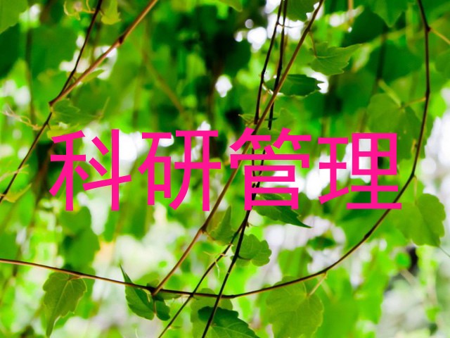 科研管理