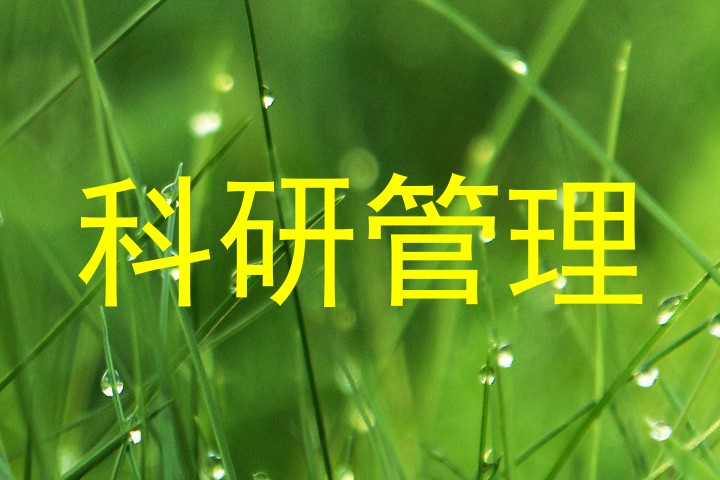 科研管理