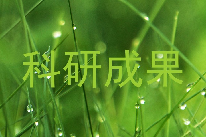 科研成果