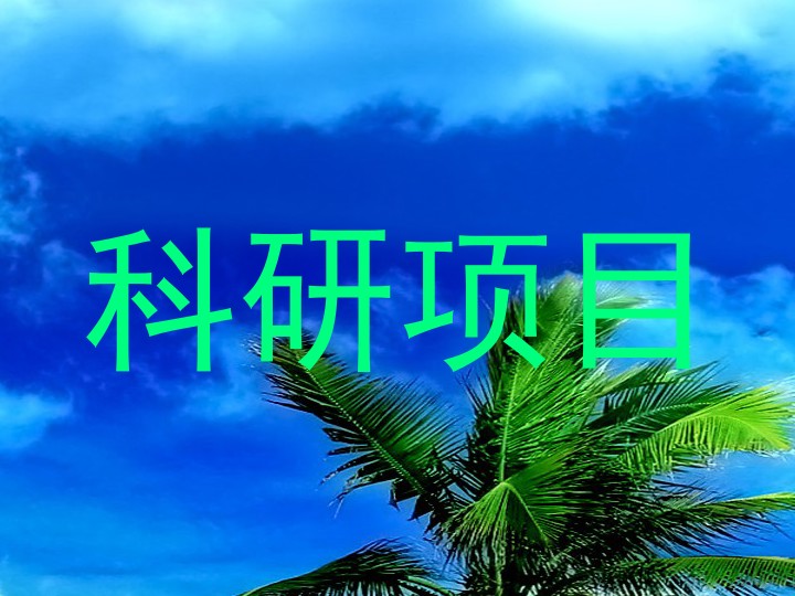 科研项目