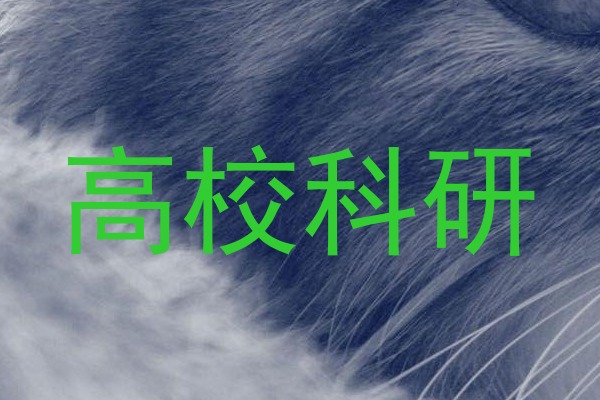 高校科研