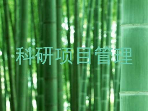 科研项目管理