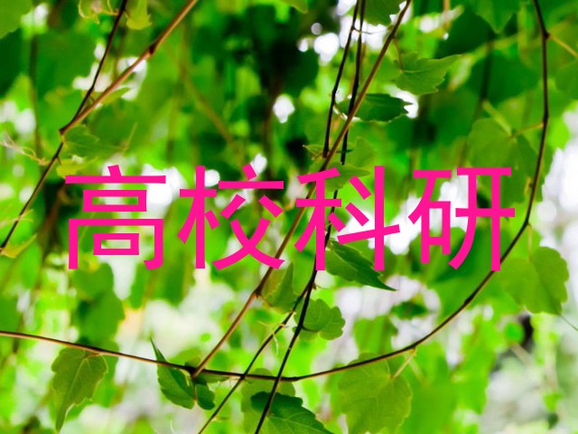 高校科研