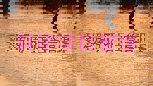 科研项目管理