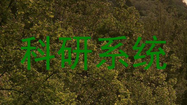 科研系统