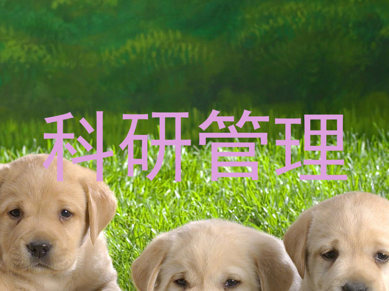 科研管理