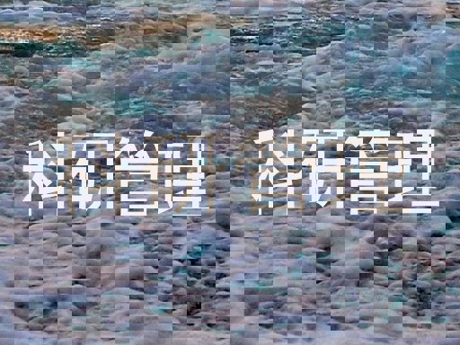 科研管理