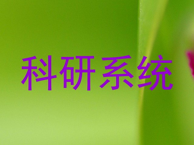 科研系统