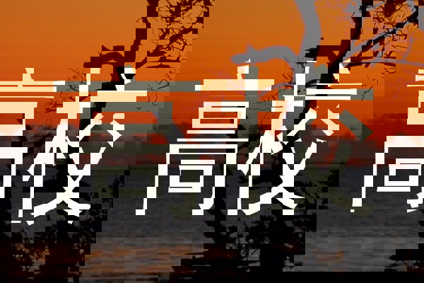 高校