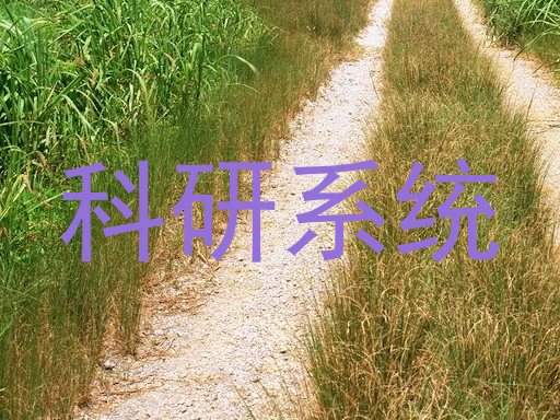 科研系统