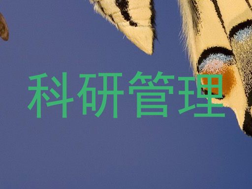 科研管理