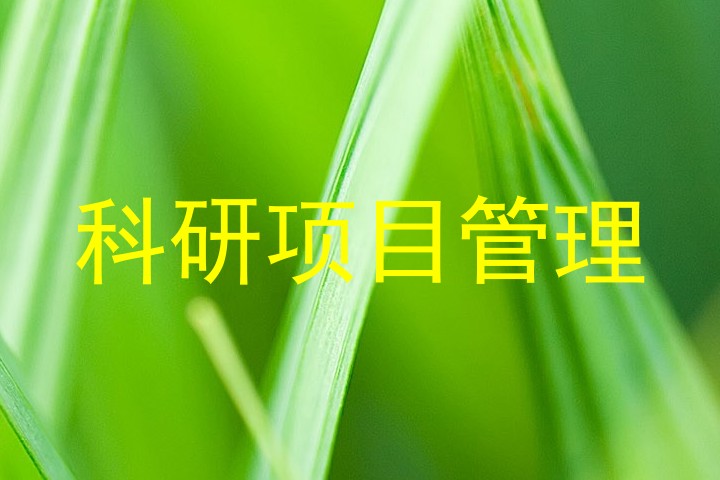 科研项目管理