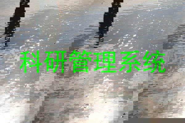 科研管理系统