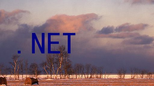 .NET