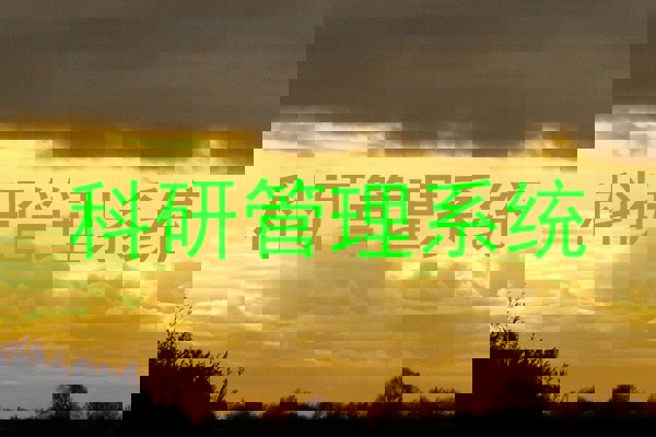 科研管理系统
