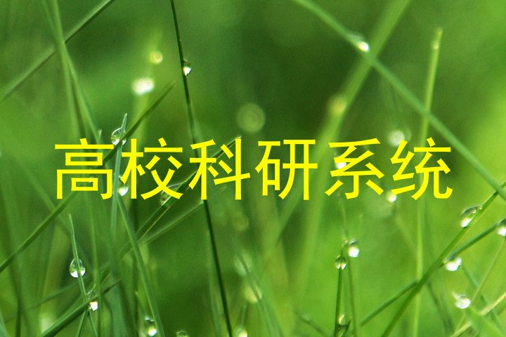 高校科研系统