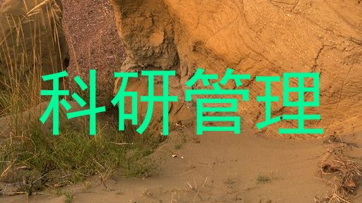 科研管理