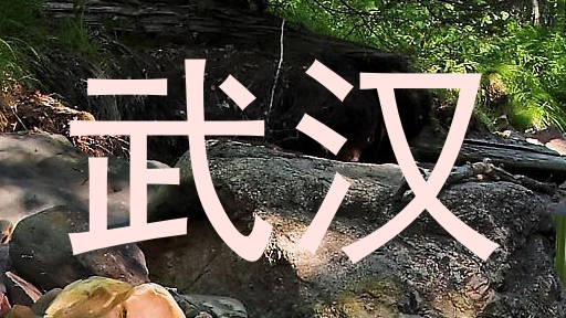 武汉