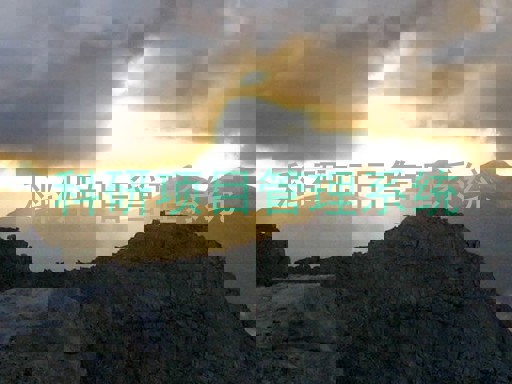 科研项目管理系统