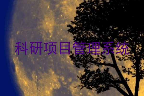 科研项目管理系统