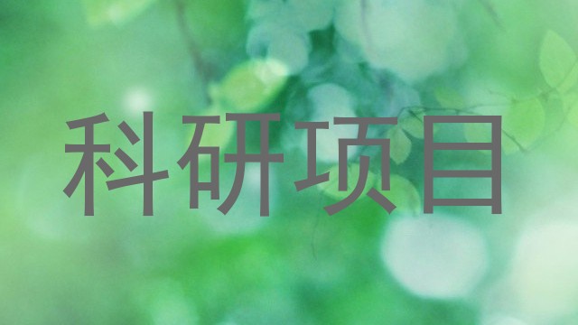 科研项目