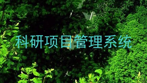 科研项目管理系统