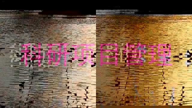 科研项目管理
