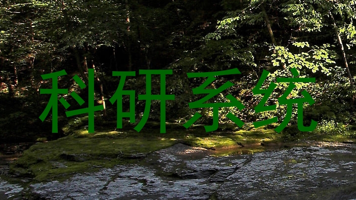 科研系统