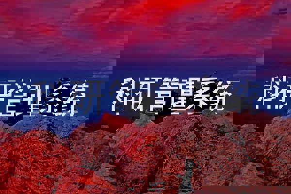 科研管理系统