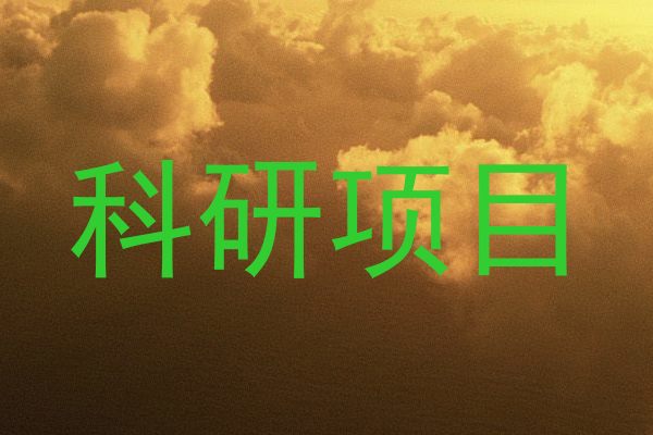 科研项目