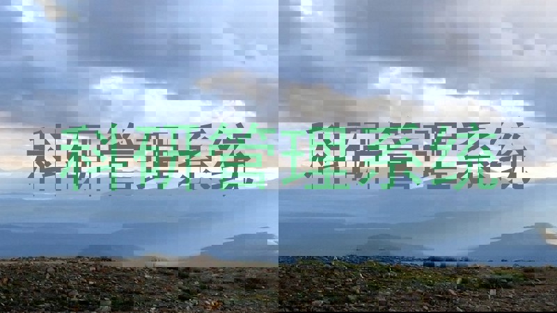 科研管理系统