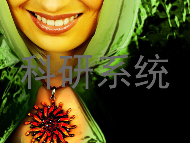 科研系统