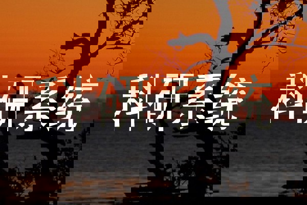 科研系统